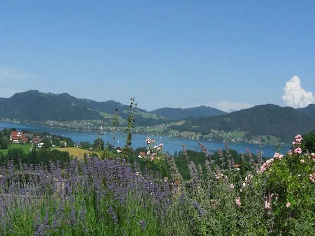 Seeblick Attersee